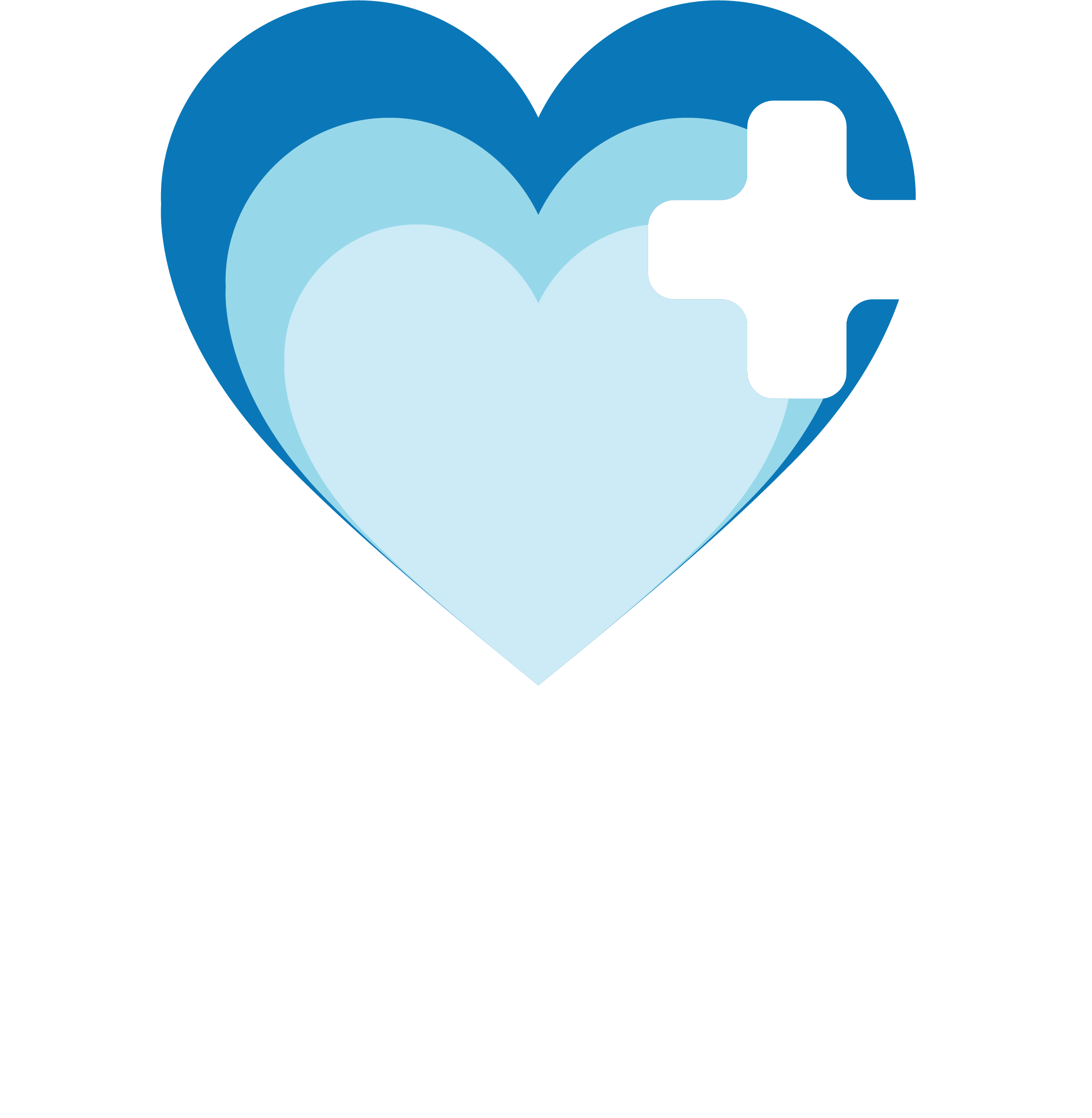 Hollycare Health and Disability Services.