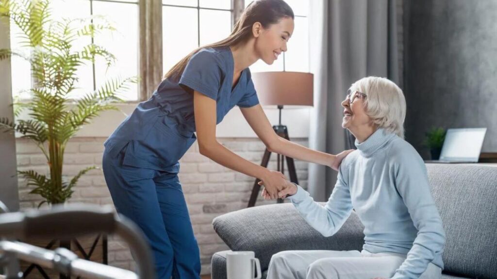 what are the main services provided under companion care